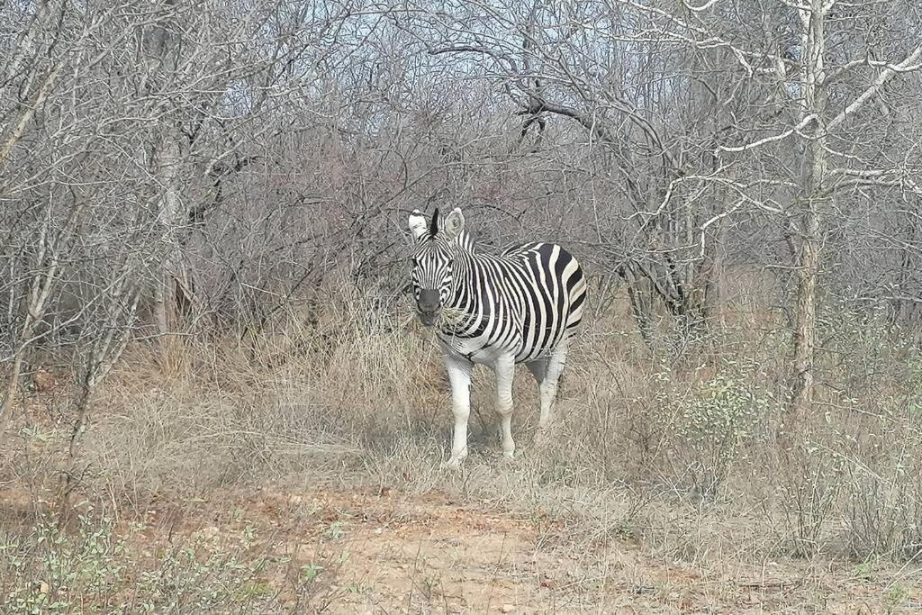 Willa Amukela Kaya Hoedspruit Zewnętrze zdjęcie