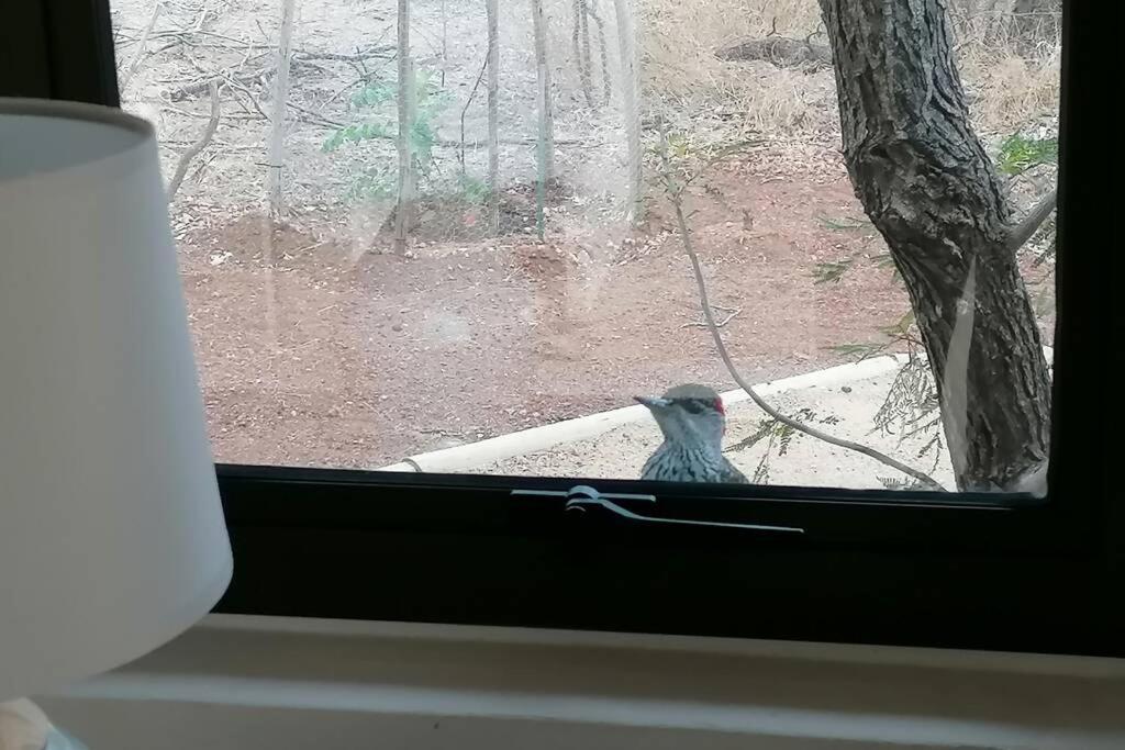 Willa Amukela Kaya Hoedspruit Zewnętrze zdjęcie