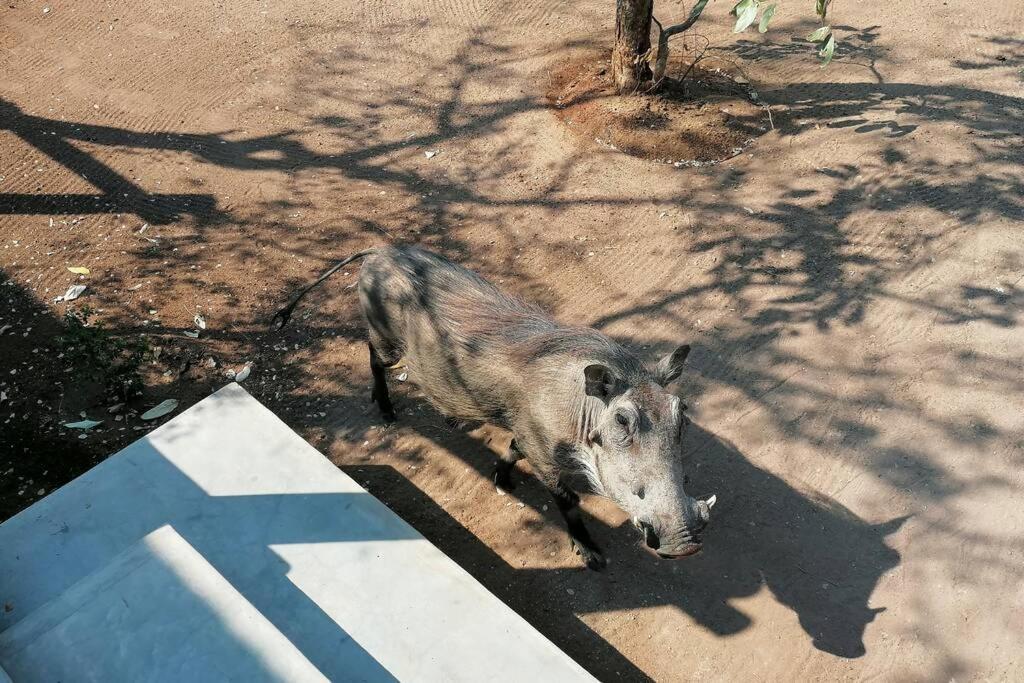 Willa Amukela Kaya Hoedspruit Zewnętrze zdjęcie