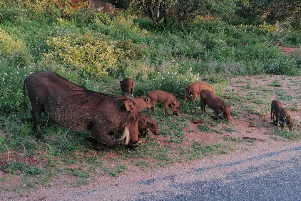Willa Amukela Kaya Hoedspruit Zewnętrze zdjęcie