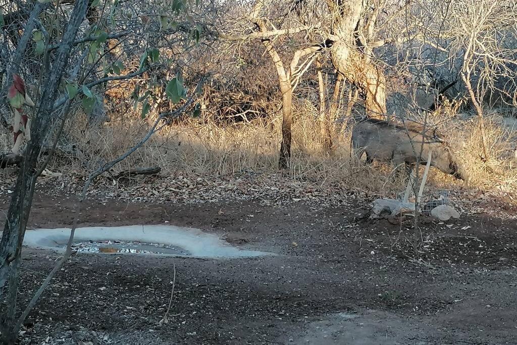 Willa Amukela Kaya Hoedspruit Zewnętrze zdjęcie