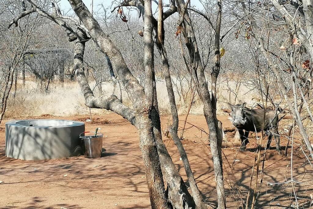 Willa Amukela Kaya Hoedspruit Zewnętrze zdjęcie